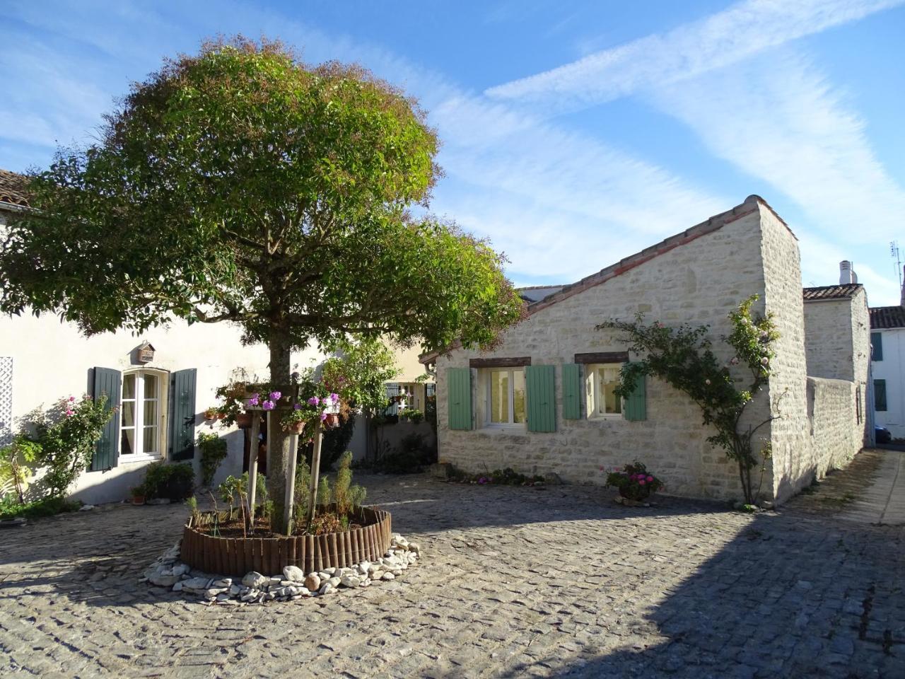 Maison Salicorne مدينة لا فلوت المظهر الخارجي الصورة