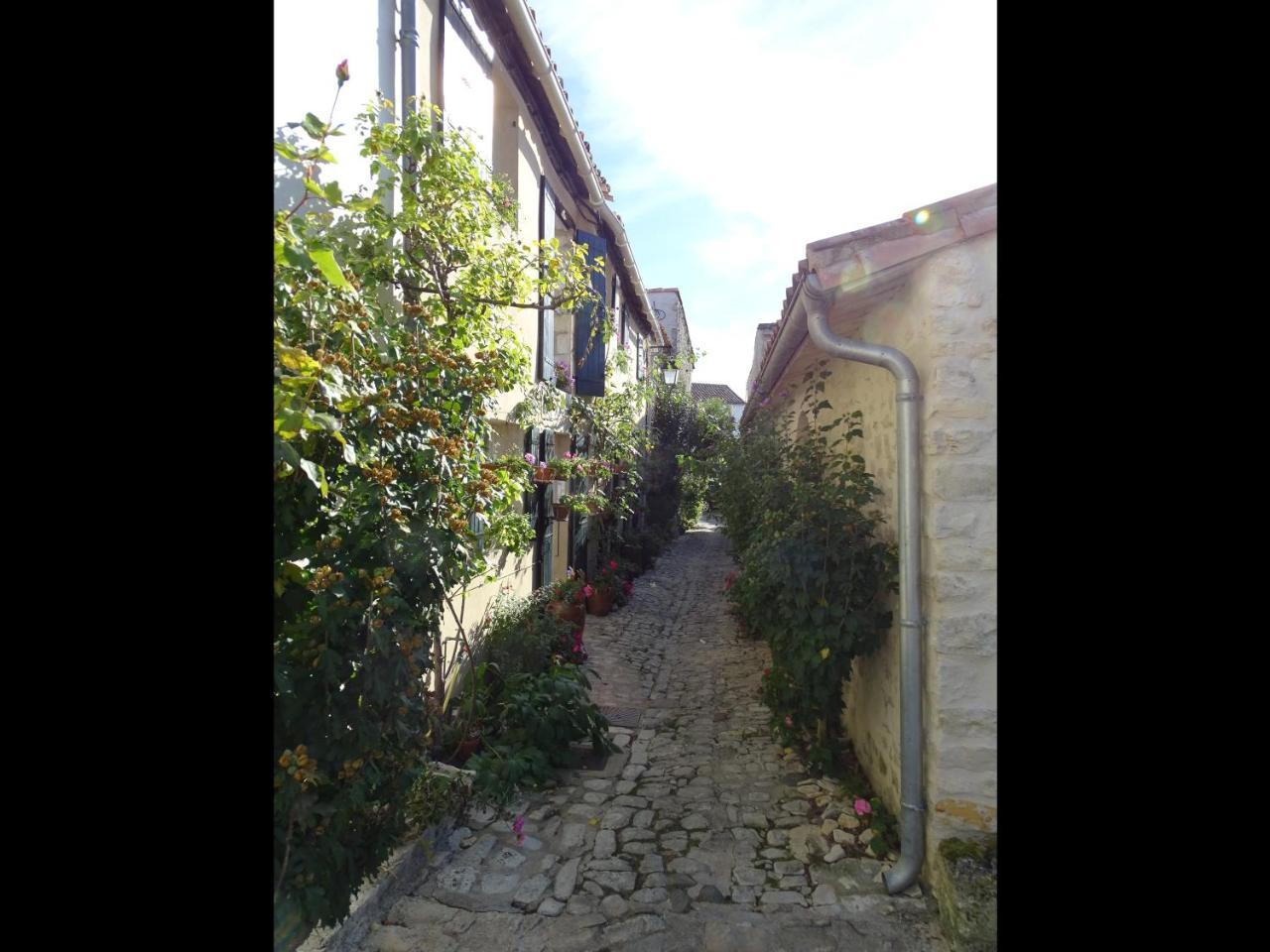Maison Salicorne مدينة لا فلوت المظهر الخارجي الصورة